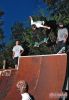 Grant1_ChickenWing_8-9-09_web.jpg